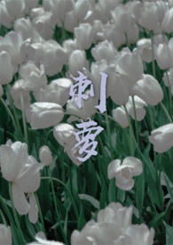 呲罗昔康片